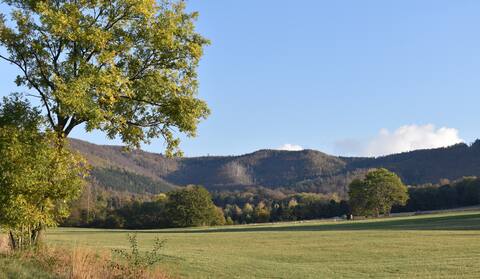 Holiday apartment on the Harz in beautiful nature