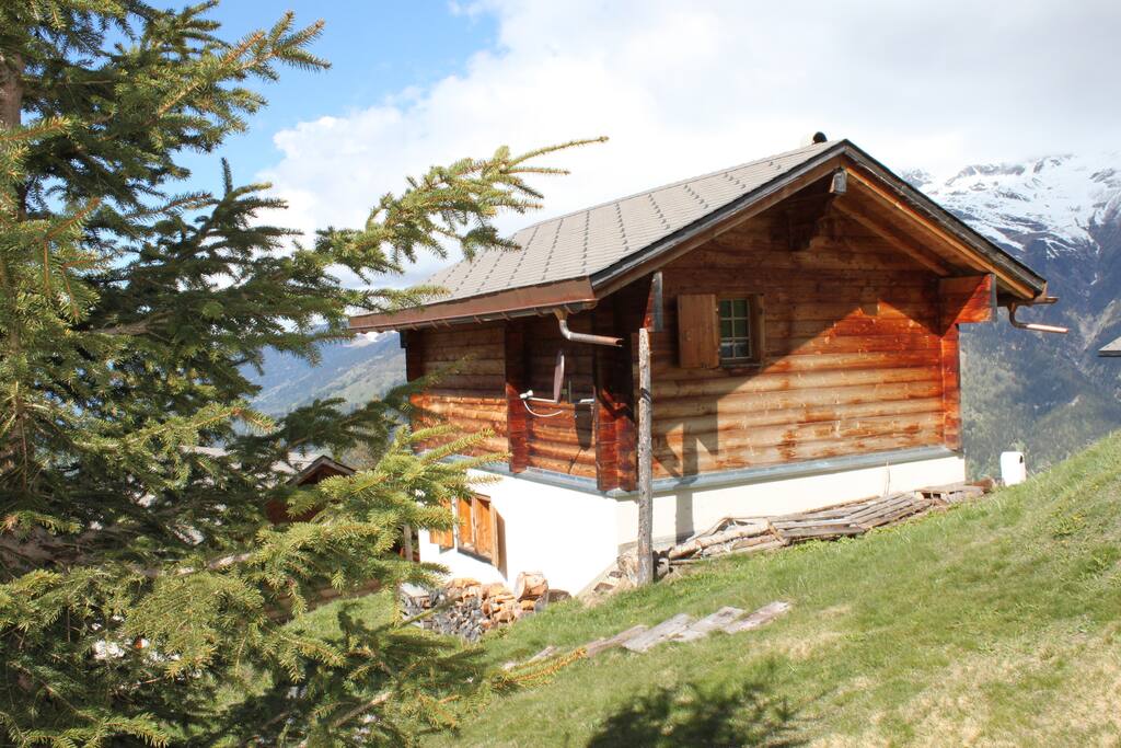 Rückansicht vom Haus