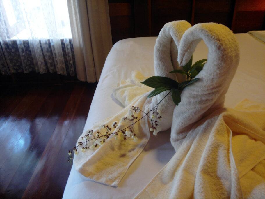 bed