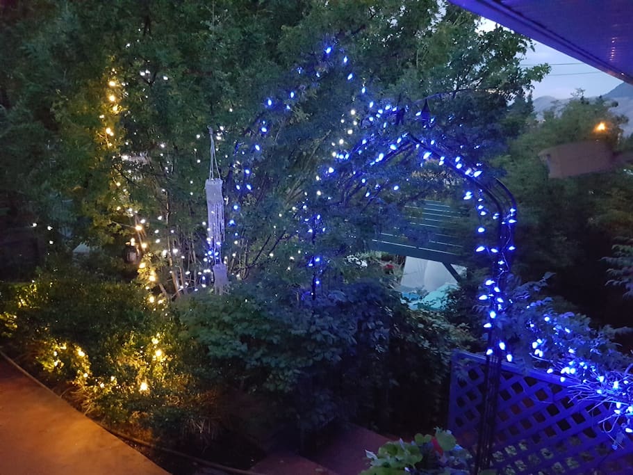 Summer in the garden