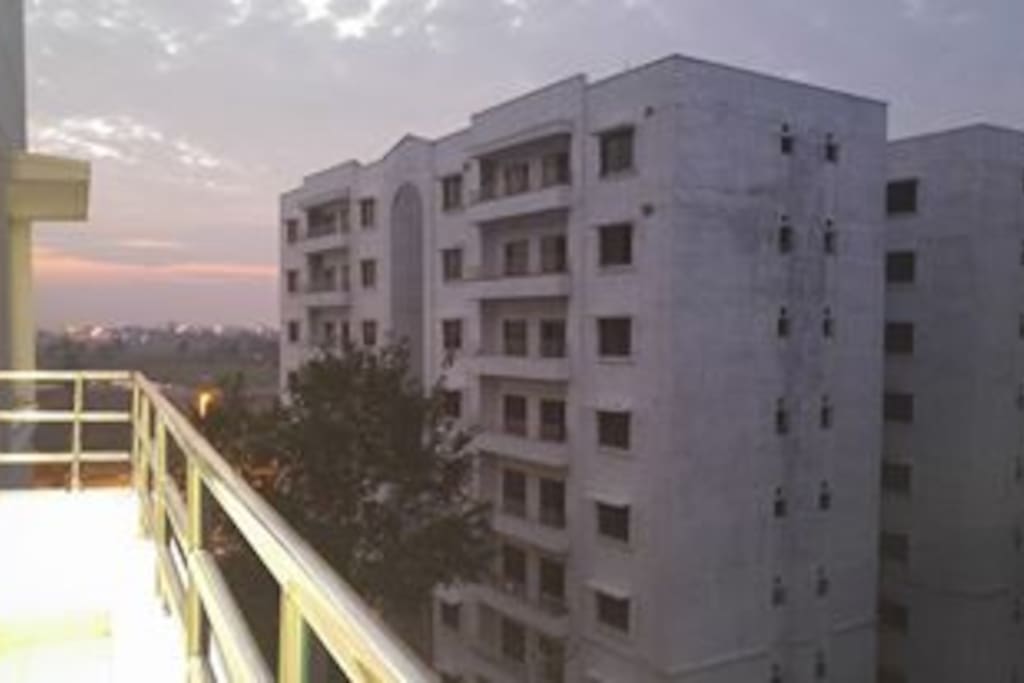 The View