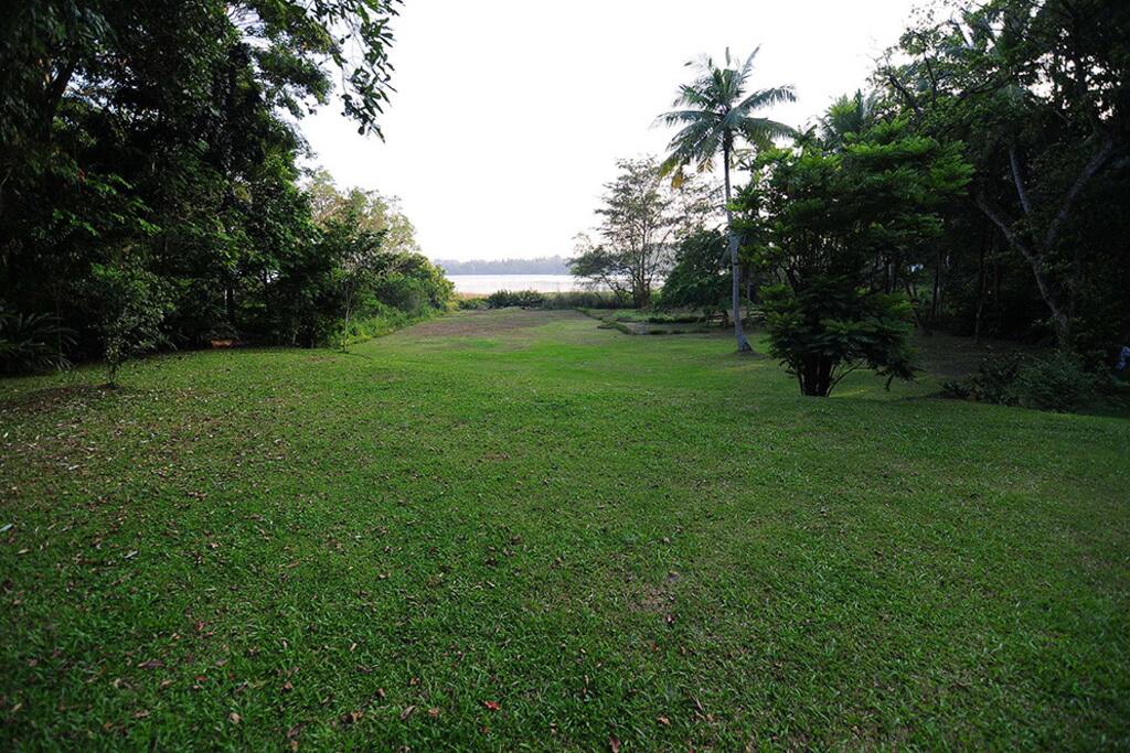 Garden Bordering the lake