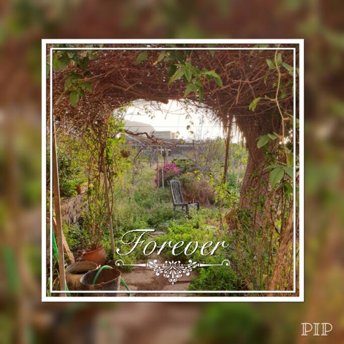 Los jardines