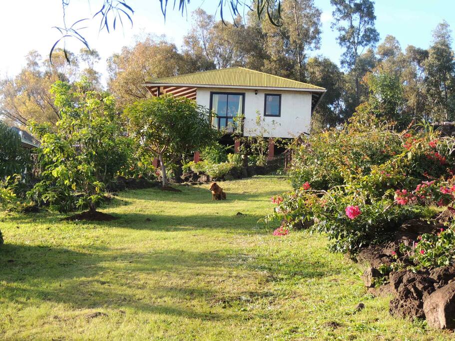 JARDIN
