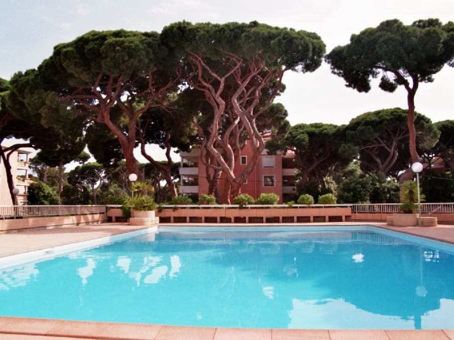 Piscine en juin