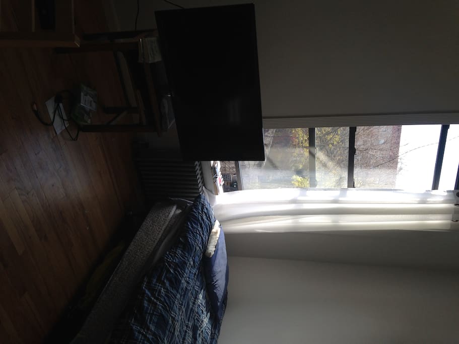 Bedroom/Living Space