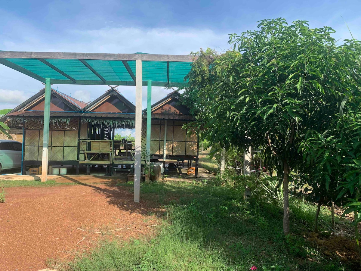 A charming structure is nestled beneath a protective awning, featuring a thatched roof and open-air design. Coarse gravel pathways lead to the entrance, surrounded by lush greenery and trees, creating a serene outdoor environment adjacent to rice fields.