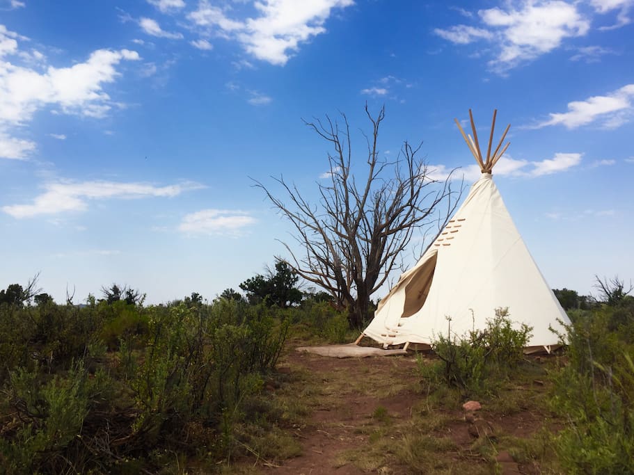 Path to Hand Built Tipi