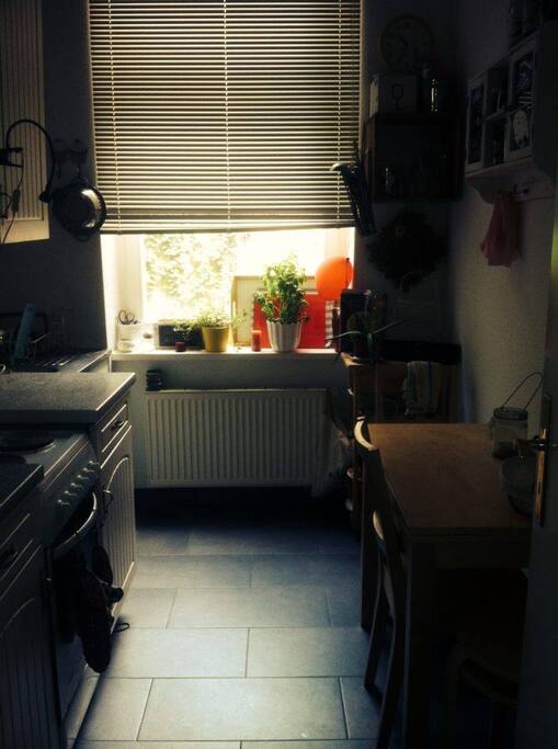 The Kitchen. Enough space to have a good meal :)