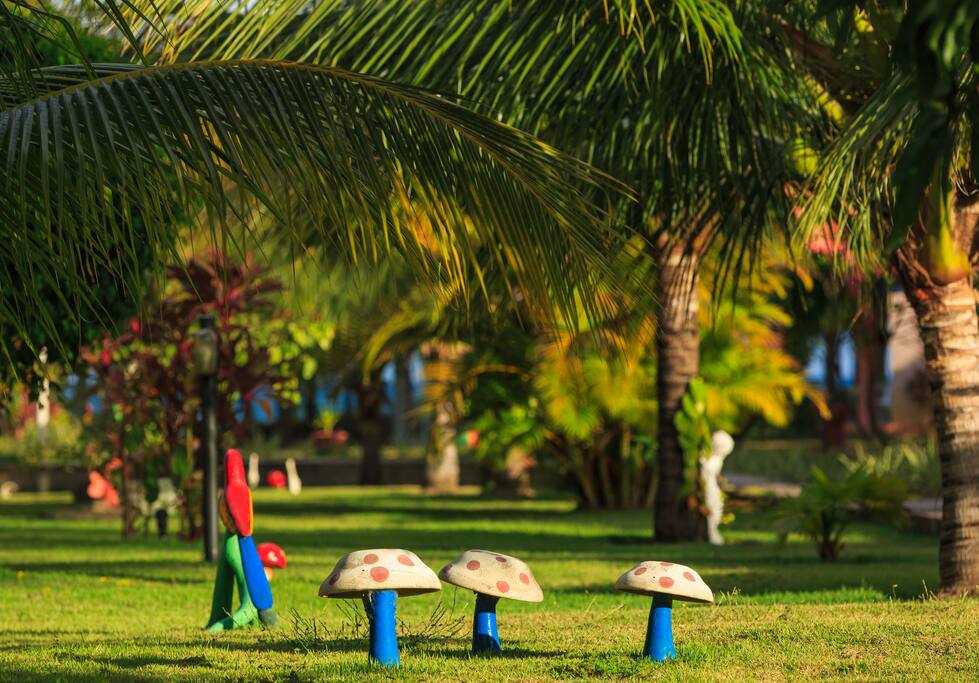 Nosso jardim