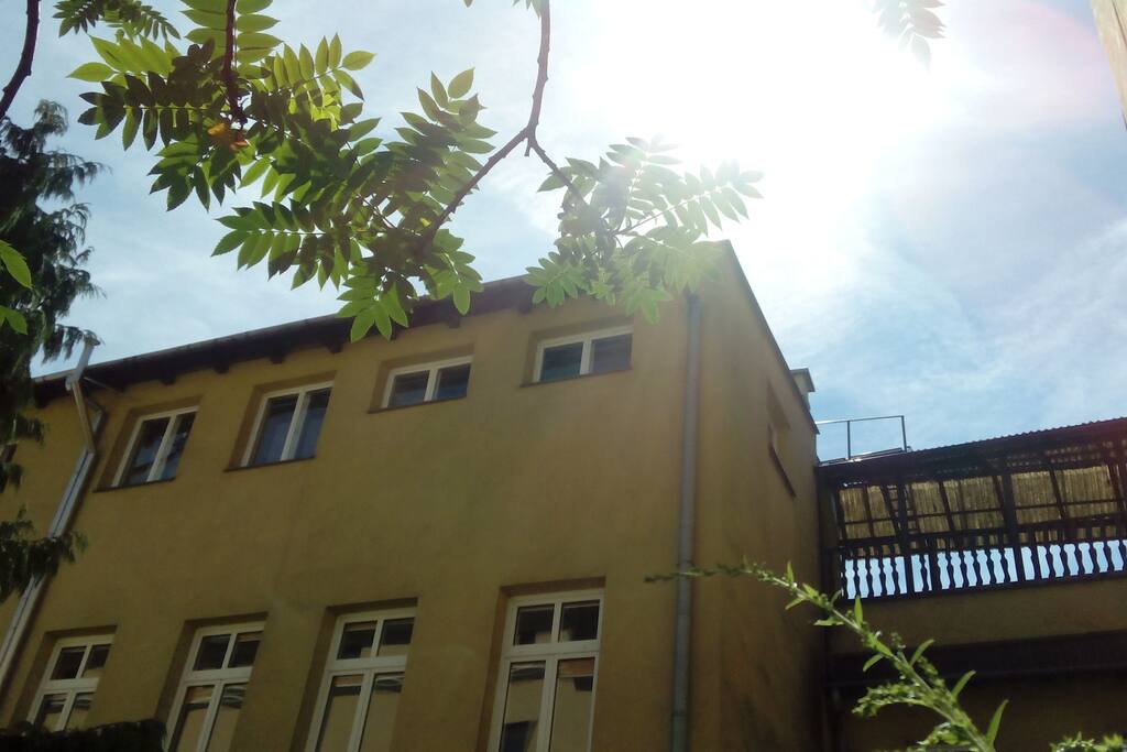from inner yard