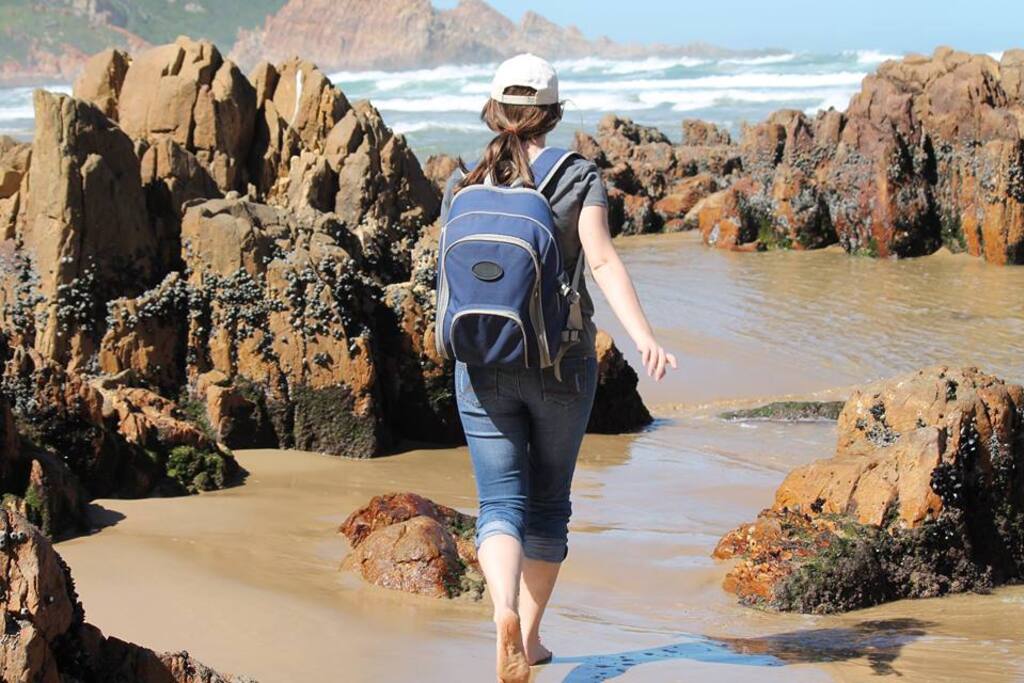 Walks on a secluded beach