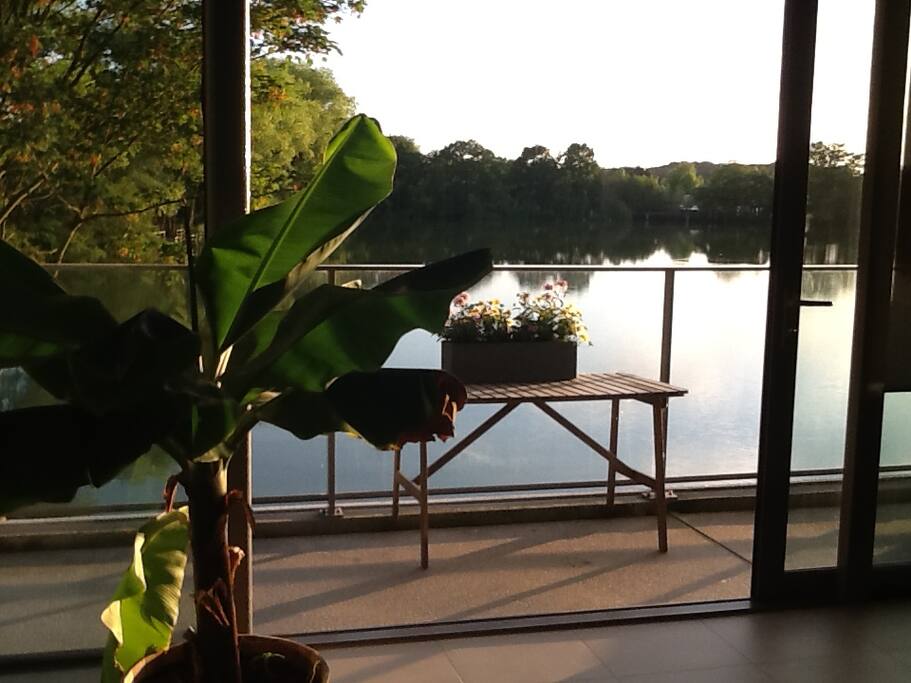 View on the lake