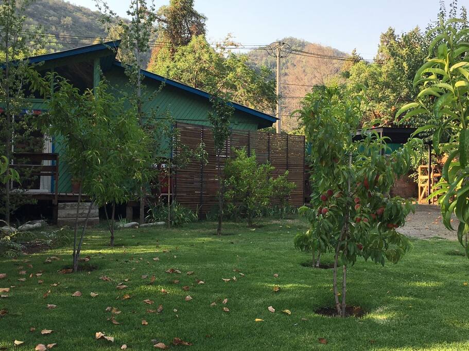 Vista desde el jardin a la cabaña