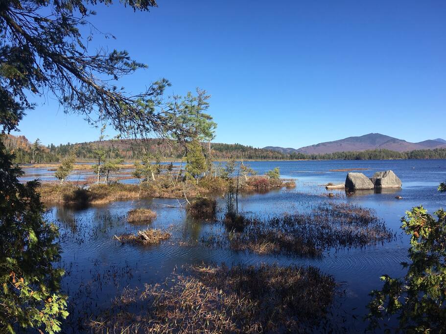View from the Point
