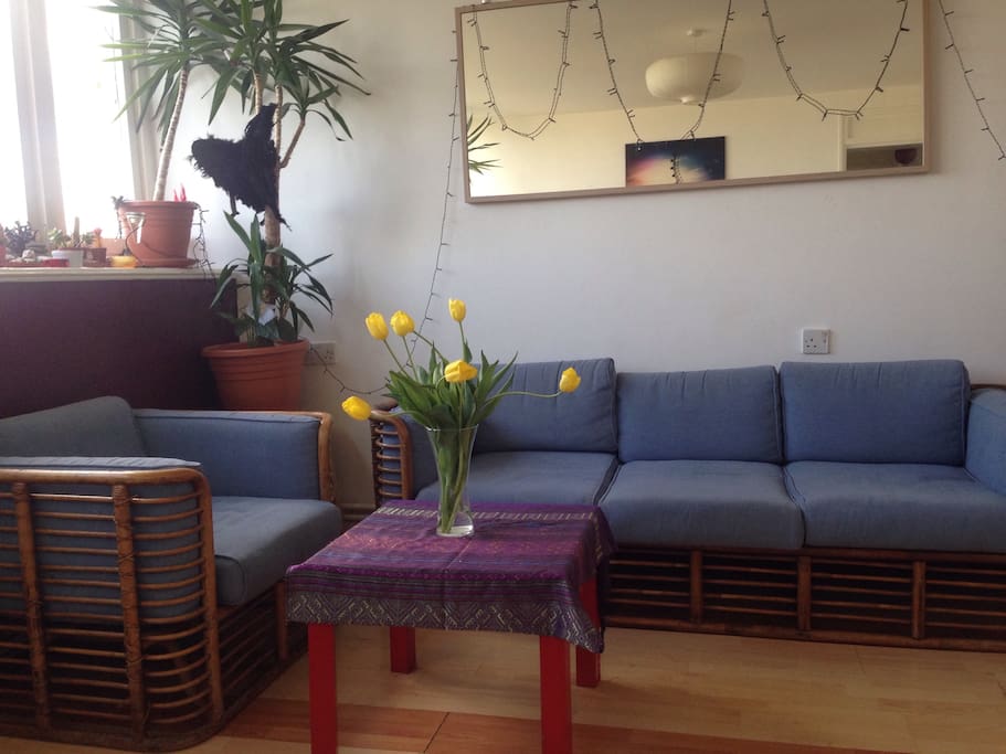 Living room area