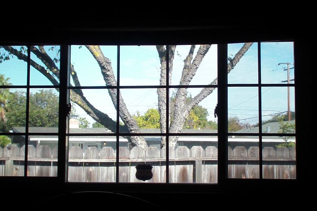 Oversize window of entire wall