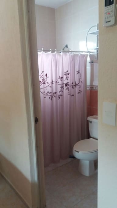 Baño dentro de la Habitacion, agua caliente y fria, ofrecemos, Shampoo, Jabon, y Toallas.