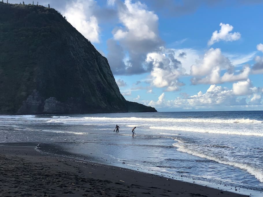 10 mins to Waipio valley with black sand beaches and waterfalls. It also has wild horses!