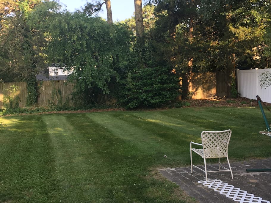 Backyard
