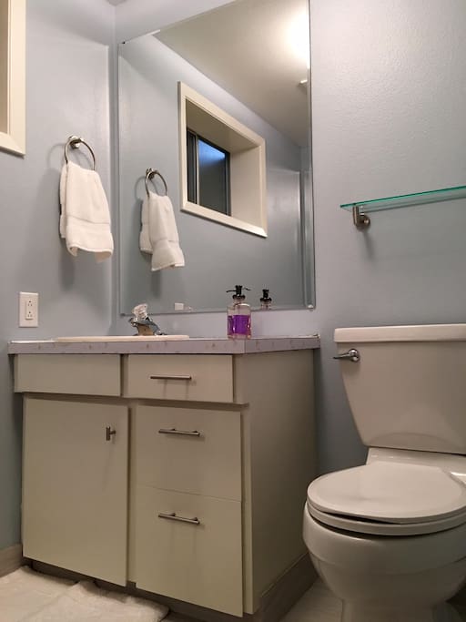 Private Bath, newly remodeled, lots of room.