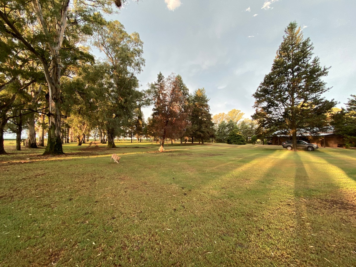 A spacious green lawn is surrounded by tall trees, providing shade and a natural setting. Sunlight casts long shadows across the grass, highlighting the serene atmosphere. A vehicle is parked nearby, blending with the tranquil rural scene.