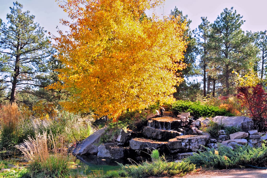 Pond and waterfall in front of house