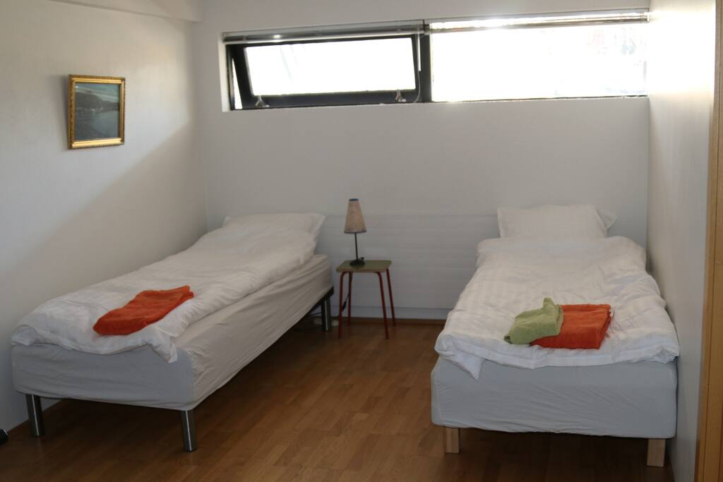 Two single beds in living room