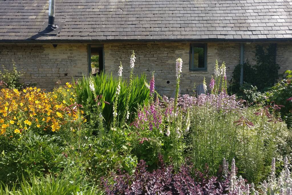 The garden