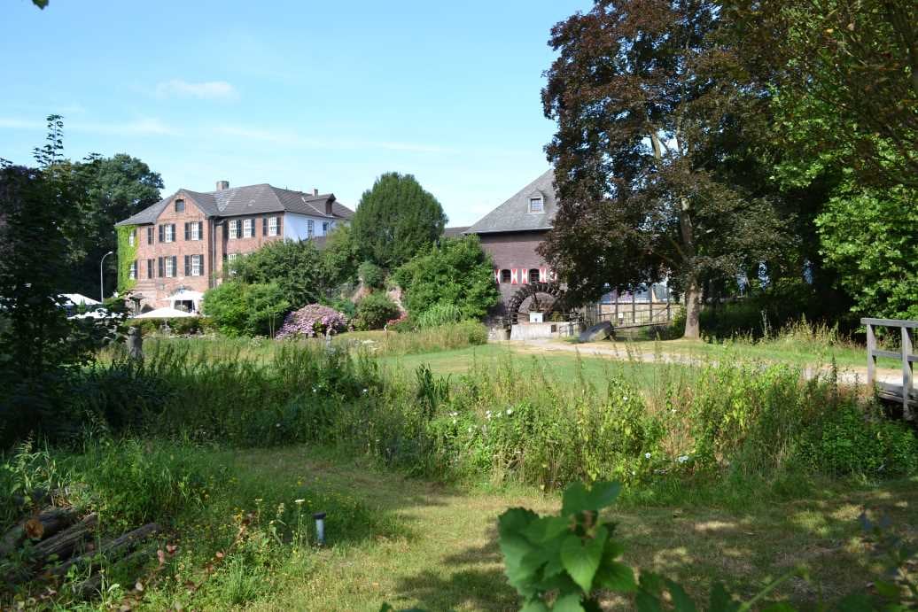 A spacious green area is surrounded by a variety of trees and flora, showcasing a mix of buildings in the background. Elements of traditional architecture are visible, with a clear blue sky above contributing to a serene ambiance.