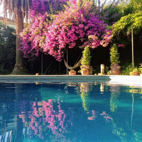 Casa do Pombal gallery image 4