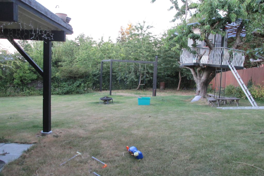 Large Backyard - Swing set and Tree Fort