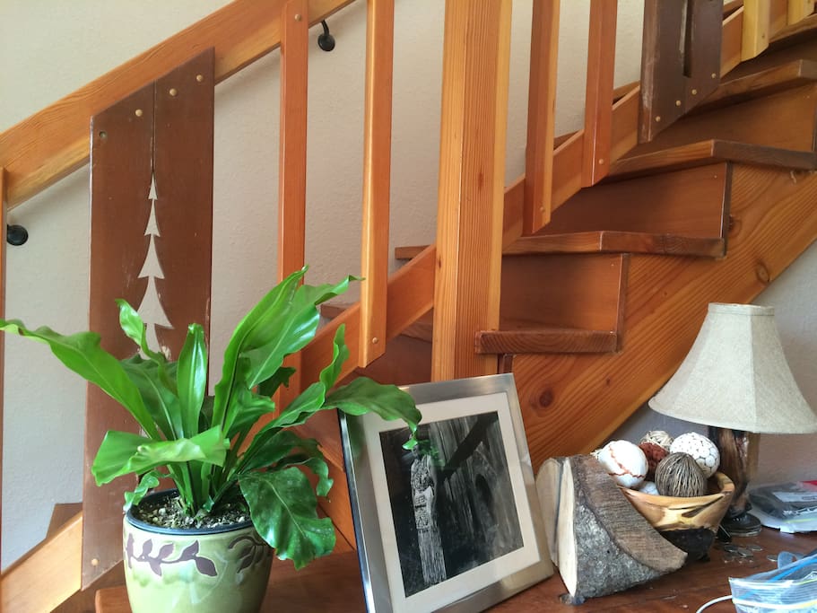 Going up stairs to a perfect King size bed with sky lights - it's like sleeping in the Trees
