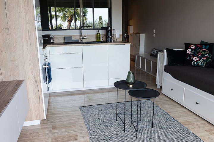 T1 Bis Climatisé Avec Coin Nuit, Terrasse+garage - Biot
