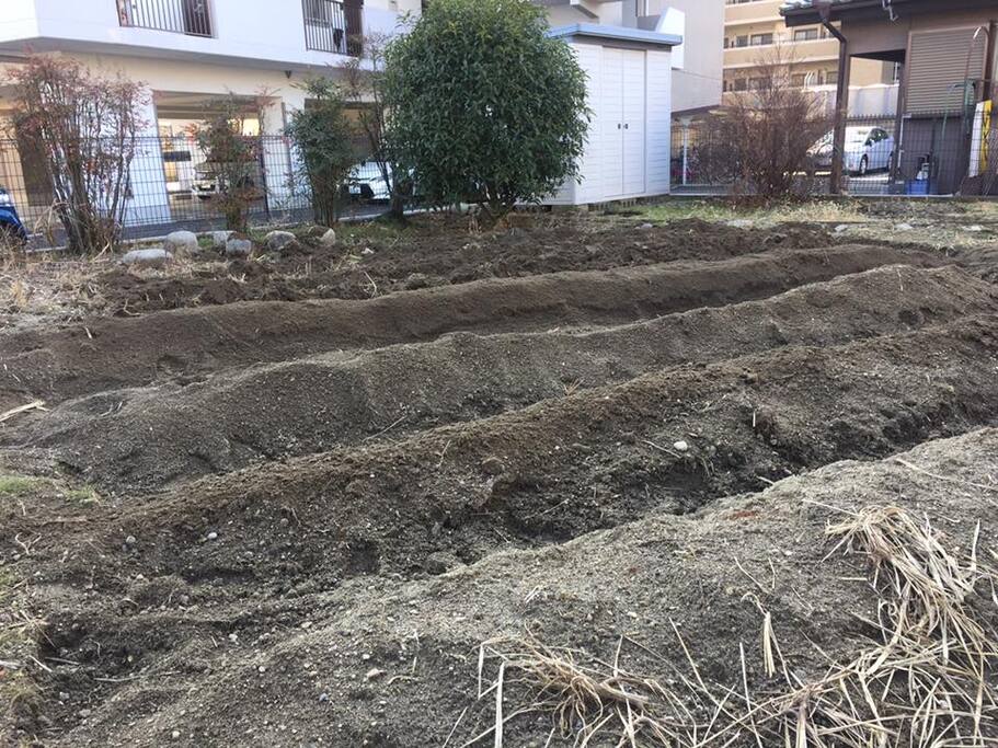 家庭菜園用の畝