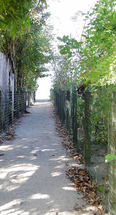 le chemin menant à la plage