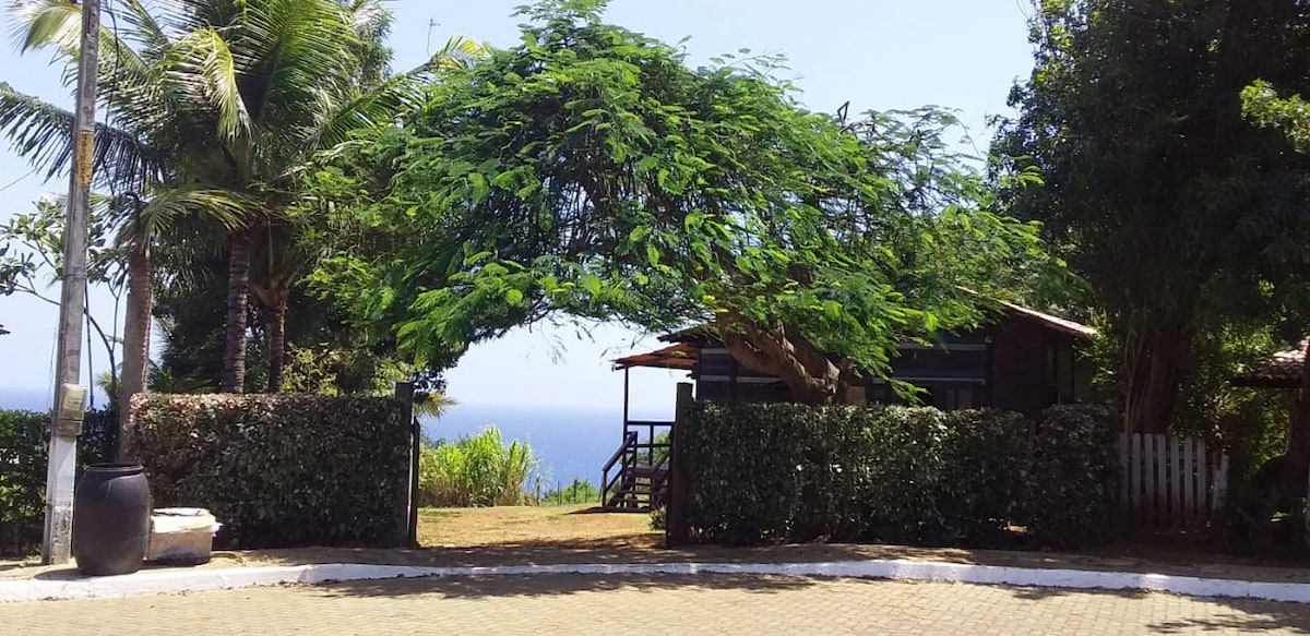 A lush green archway formed by a large tree leads to a wooden building, visible in the background. The area is surrounded by tropical vegetation, with distant ocean views visible through the trees. Paved pathways and a stone border enhance the inviting outdoor space.