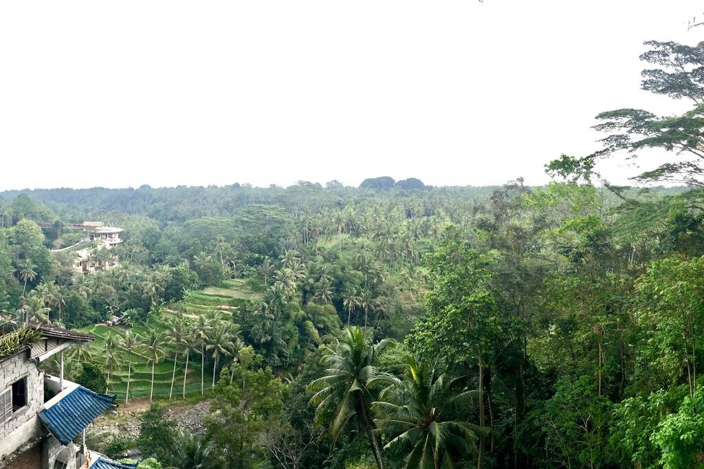 panoramic rooftop views