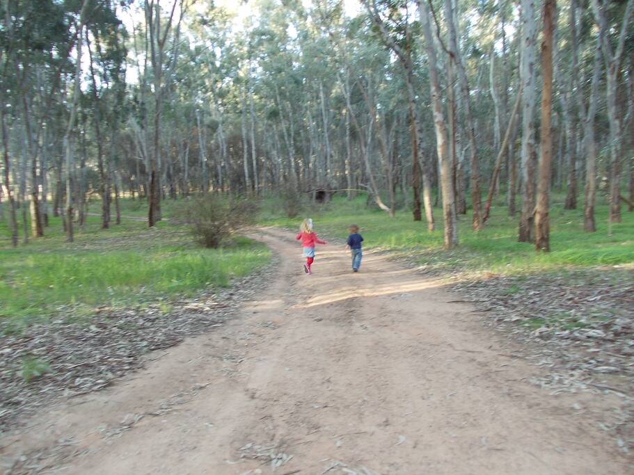 The road to visit the alpacas