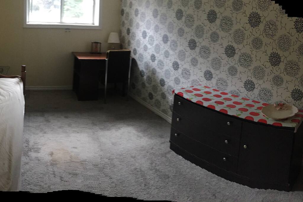 a single room in Bi-level house half-basement