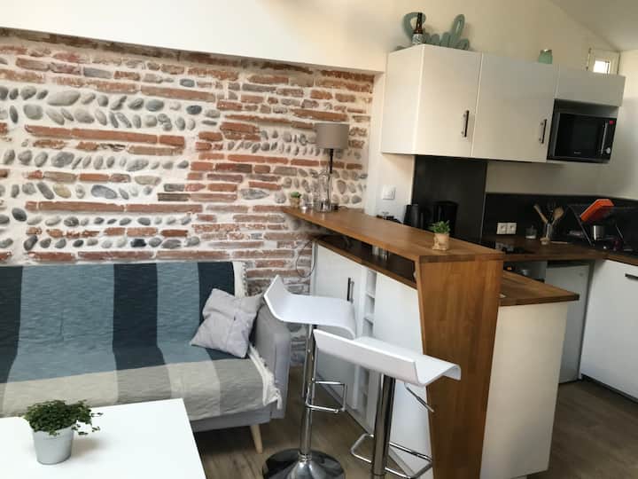 Charmant Appartement à St Cyprien - Toulouse
