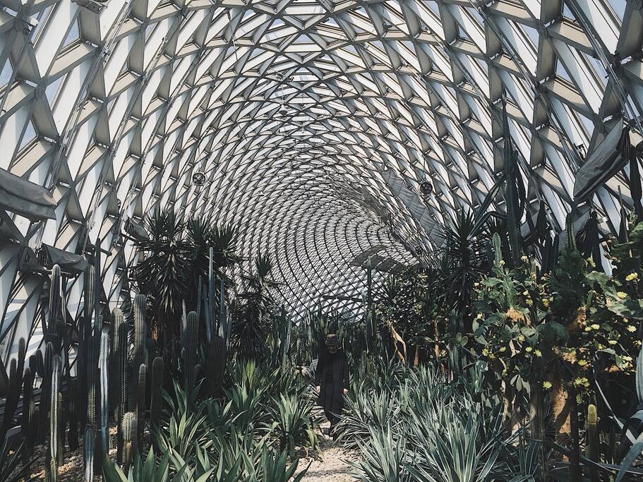 为了在这个沙漠植物馆拍合照 我们把深圳的朋友骗来了 上海旅游攻略 尽在airbnb爱彼迎