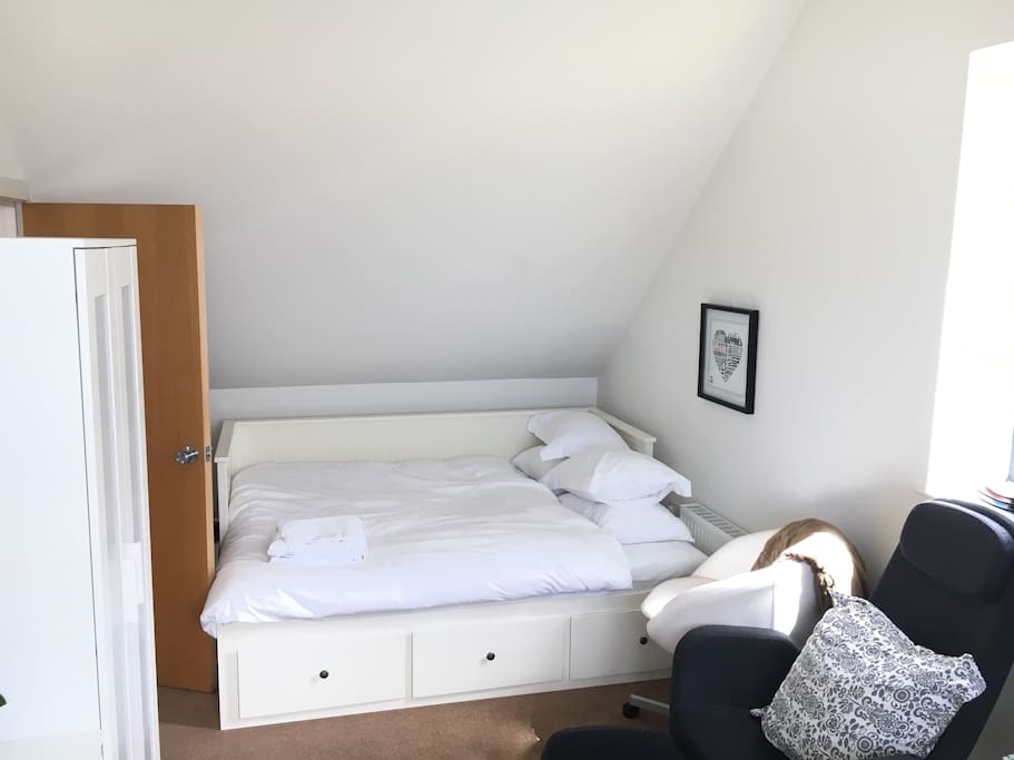 This is the pullout bed. If you need it, it's a euro king size, if you don't, it's a sofa.