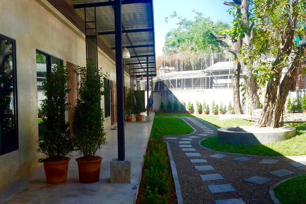 Outdoor/grass area.
