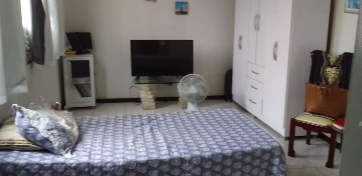 A cozy sleeping area includes a spacious bed covered with a patterned blue blanket. A color television is mounted on a glass shelf, and a ceiling fan is positioned near the bed. A wardrobe and a small chair add functionality to the room.
