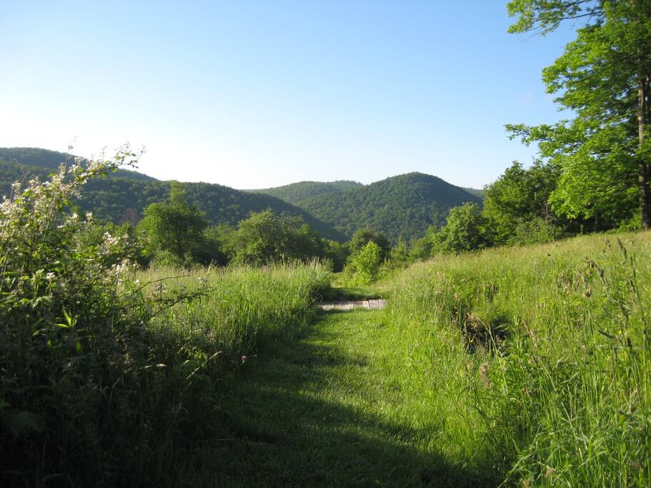 Mowed meadow loop from lodge front door