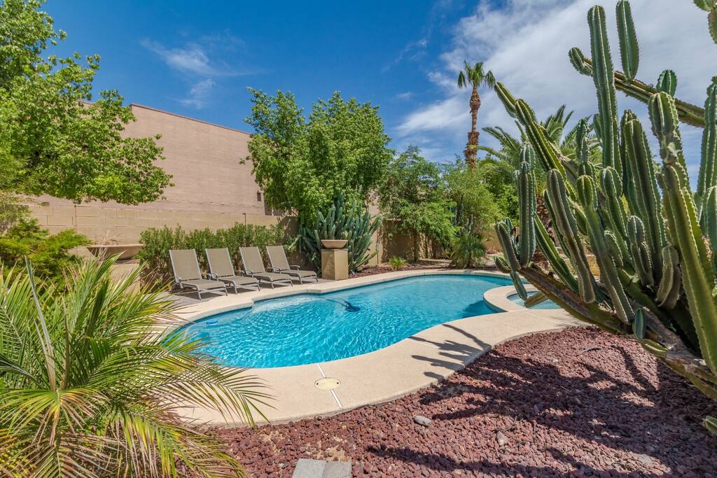 One of our nicest pools and most private yards.