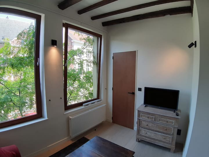 Your Own 18th Century Attic In The Center Of Ghent - Melle