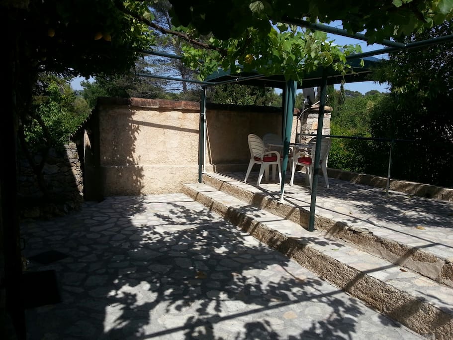Terrasse à l'ombre des vignes et citronnier