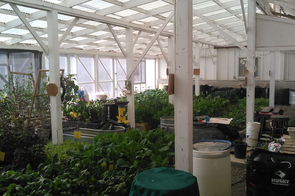 Picture of our greenhouse in Jan. 2017.